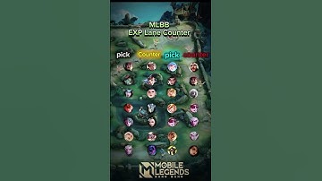 Exp lane pick and counter picks#mobilelegends #mlbbindia #mlbb #mlbbfunnymoment #mlbbindonesia