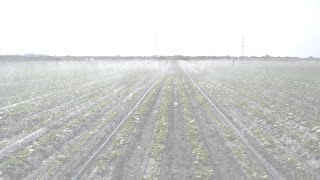 San-Fu Irrigation System Installation