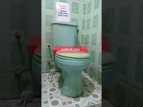 Video: Apakah membiarkan toilet yang tersumbat membantu?