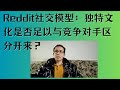 Reddit社交模型：独特文化是否足以与竞争对手区分开来？