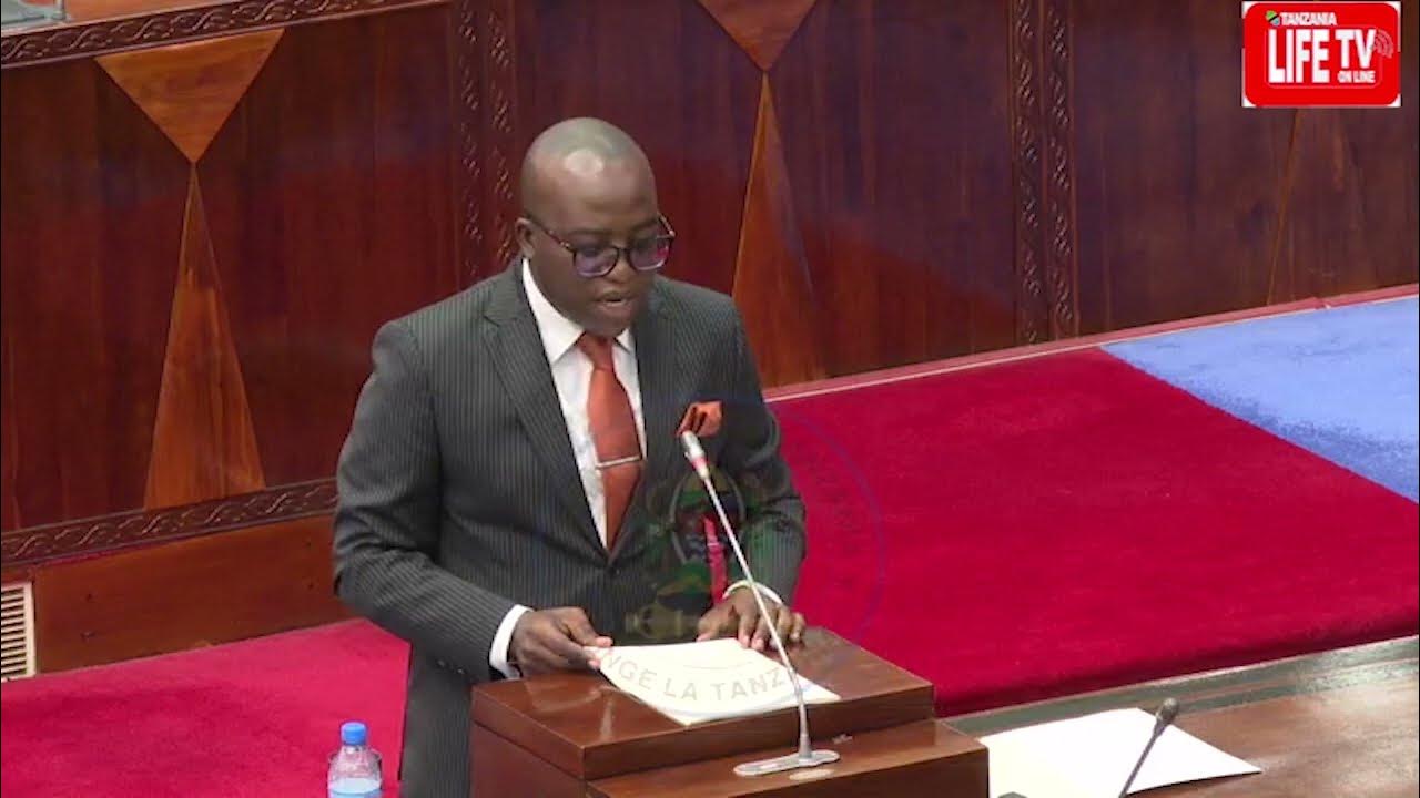 MADINI YAOMBA ZAIDI BILLIONI 200,MAKADIRIO YA BAJETI YA 2024/2025 - YouTube