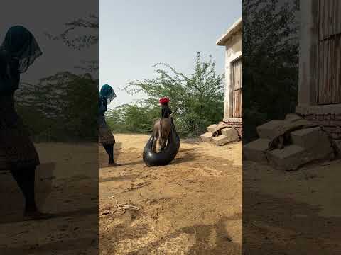 عندما و ضعت مثانة ممتلئة على المؤخرة المشاغبة فاجأت لذتها الجميع