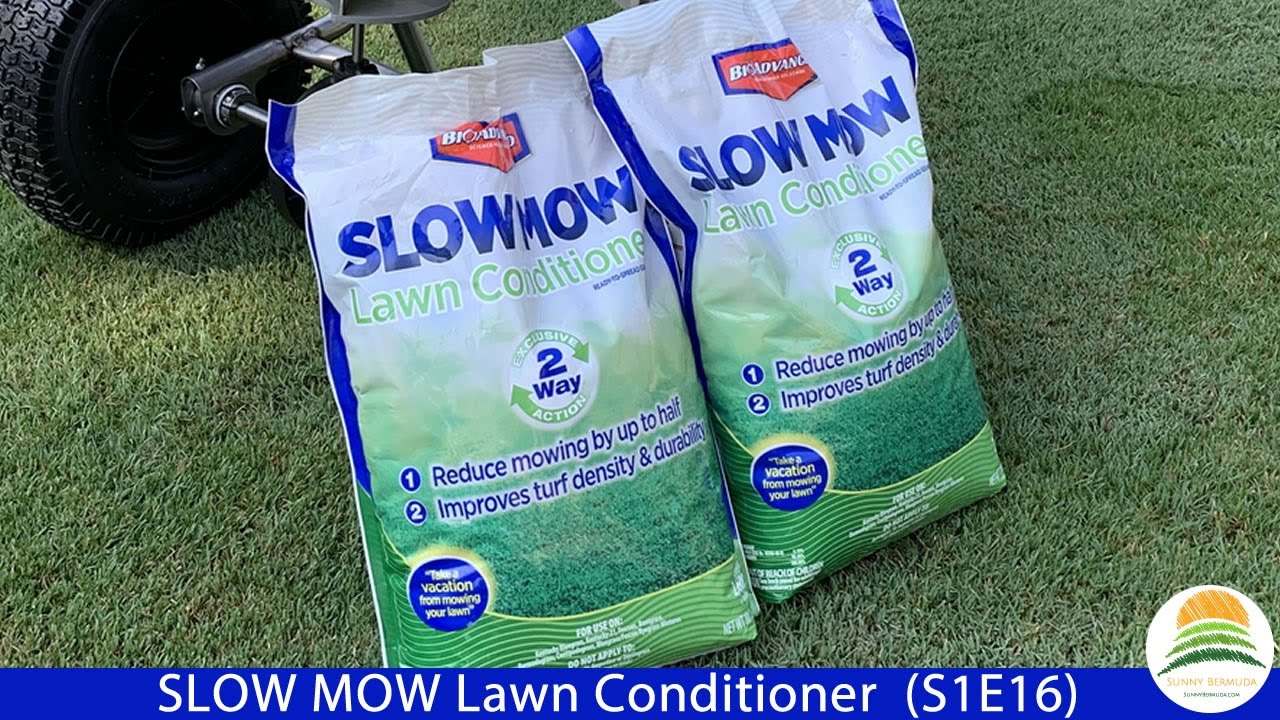 SLOW MOW Lawn Conditioner by BioAdvanced - Does it work? (S1E16)
