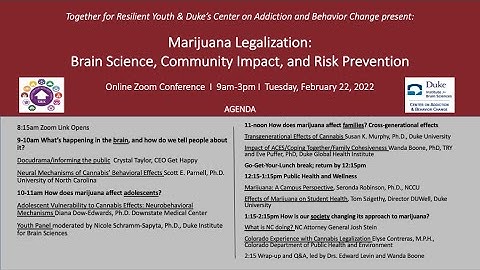 TRY CABC Marijuana Legalization:  Brain Science, Community Impact and Risk Prevention (2.22.2022)
