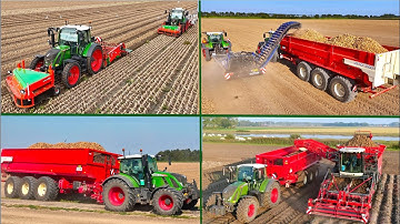 Busy Harvest day at Franzen Farms | Windrowing & Loading Onions - Lifting Potato
