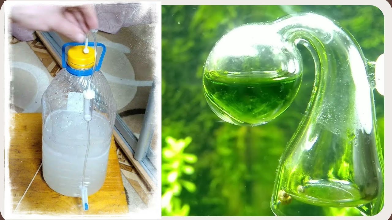 Генератор СО2 на сухой соде и лимонной кислоте | tatianazvezdochkina.ru | ЮВИАКВА