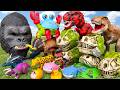 Jurassic World Unboxing Review Colorful Dinosaur Skull T-Rex KONG Mask Raptor Brachio Smashers ASMR