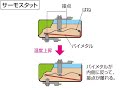 サーモスタットな夏