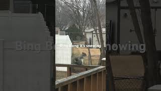 Bing Bong Its Snowing