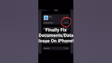 How To Delete Safari Documents/Data To Prevent iPhone Storage Getting Full!🙏 #shorts