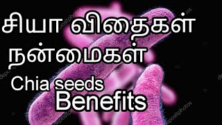 சியா விதைகள் நன்மைகள்||Chia seeds benefits||Chia seeds||How to use Chia seeds||Chia seeds advantages
