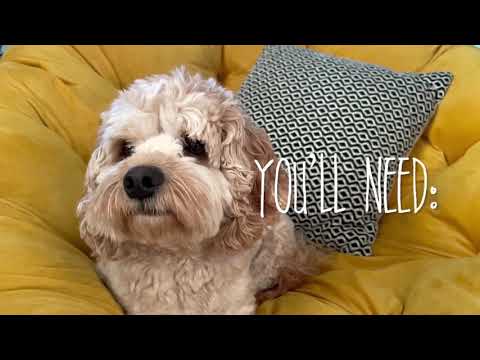 Video: Ursachen für Hundepfote Knuckling