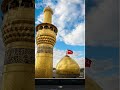 Karbala Ki Zameen 😞 Imam Hussain A. S ❤️💯