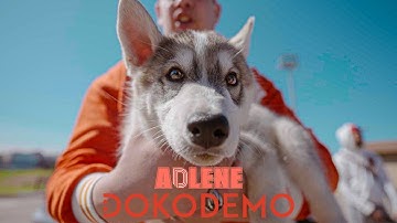 Adlene -  Dokodemo  (Official music video)