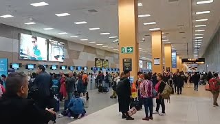 Cuáles Son Mis Derechos Si La Suspensión De Un Vuelo Me Perjudicó?