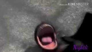 HTTYD Dna