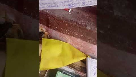 Multi  rare concepts,பல அபூர்வக்கருத்துகள்ஃsasthi ,athiga appurva sankalppagai