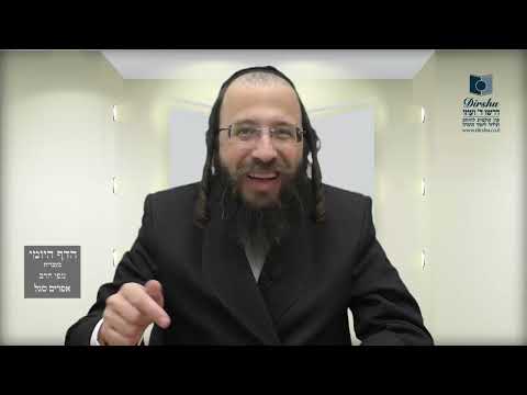 הדף היומי מסכת שבועות דף יג