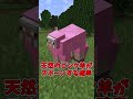 【マイクラ】マイクラ低確率で起こること5選【ゆっくり実況】#Shorts