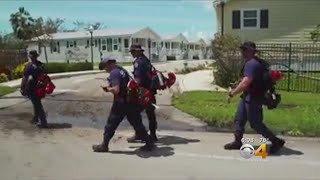 Colorado's Task Force One In Florida