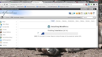 Installing WordPress in Sub-Folders to Test Out WordPress Plugins