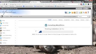 Installing WordPress in Sub-Folders to Test Out WordPress Plugins