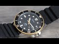 Casio Duro MDV 106 Marlin Watch Review, DOES it live up to the HYPE?