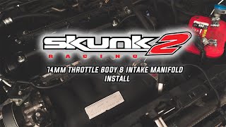 Throwing Some Skunk2 Racing on the RSX!