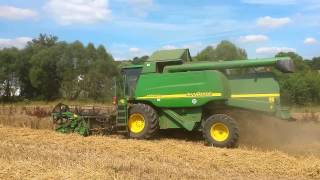 Moisson de blé bio