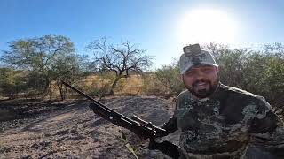 Cazando Palomas Con Rifle De Aire