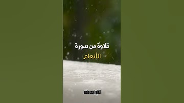 ما تيسر من سورة الأنعام بصوت أخوكم #القارئ_احمد_عاطف #fypシ゚viral #explore #foryou #تلاوة_خاشعة #fyp