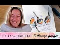 Tutoriel aquarelle dbutant  peindre 3 rougesgorges en lcher prise avec virginie lucas