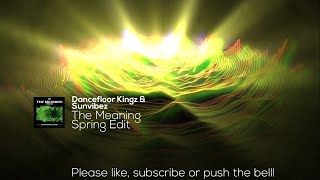 Dancefloor Kingz &amp; Sunvibez - The Meaning (Spring Edit)