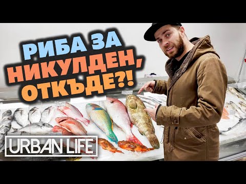 Най-добрите места за прясна и вкусна РИБА