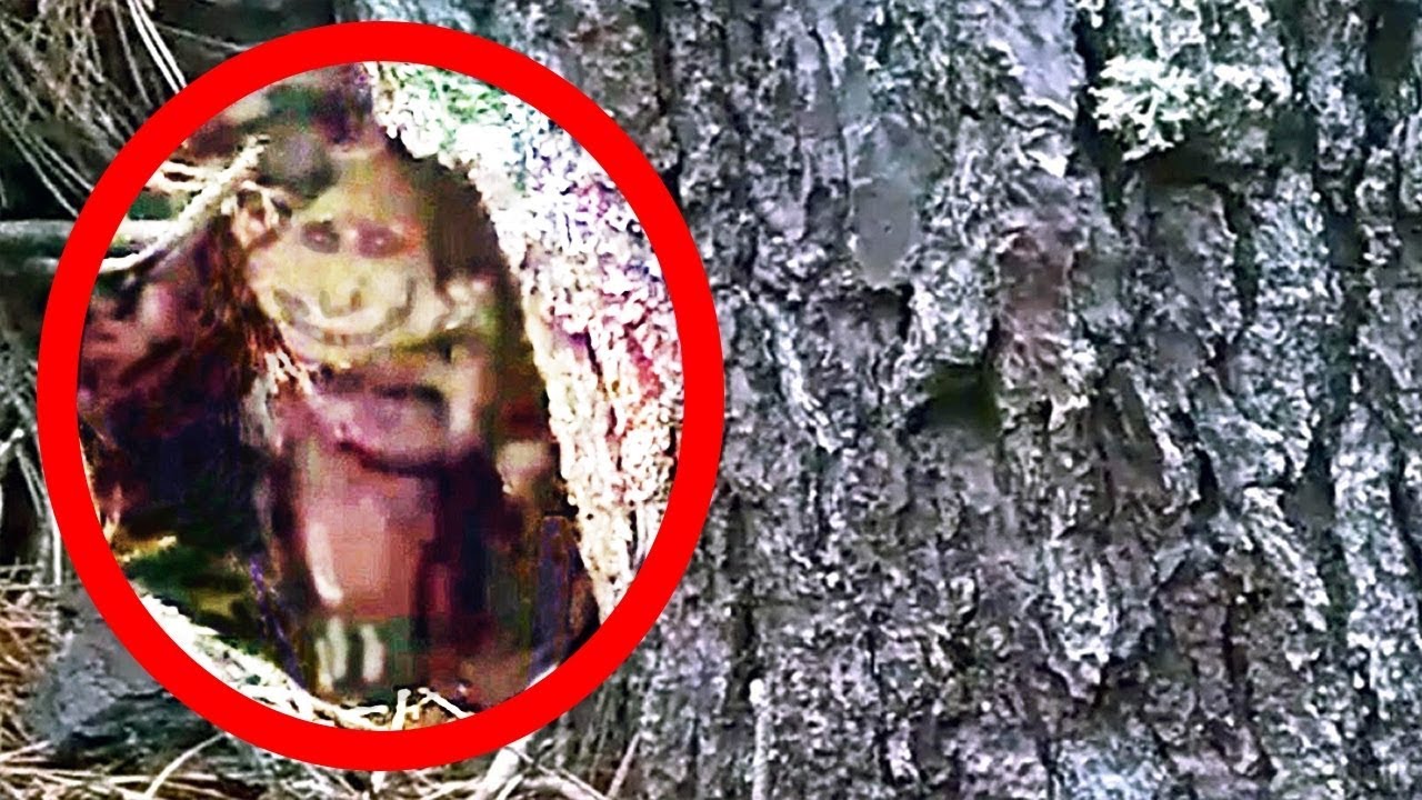 Como Son Los Duendes En La Vida Real 12 Duendes Captado en Video y Visto en la Vida Real (Compilación