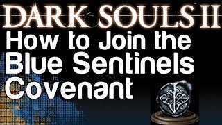 How to Join the Blue Sentinels Covenant - Dark Souls 2 (Protector Covenant Achievement)