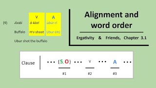 Alignment and word order - Ch3.1 of Ergativity & Friends News