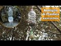 MANGIATOIA per uccelli selvatici con una BOTTIGLIA di PLASTICA - Riciclo in giardino & Birdgarden