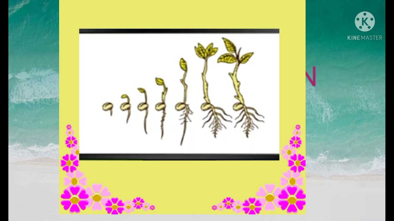 Basic science Teacher version Std:6