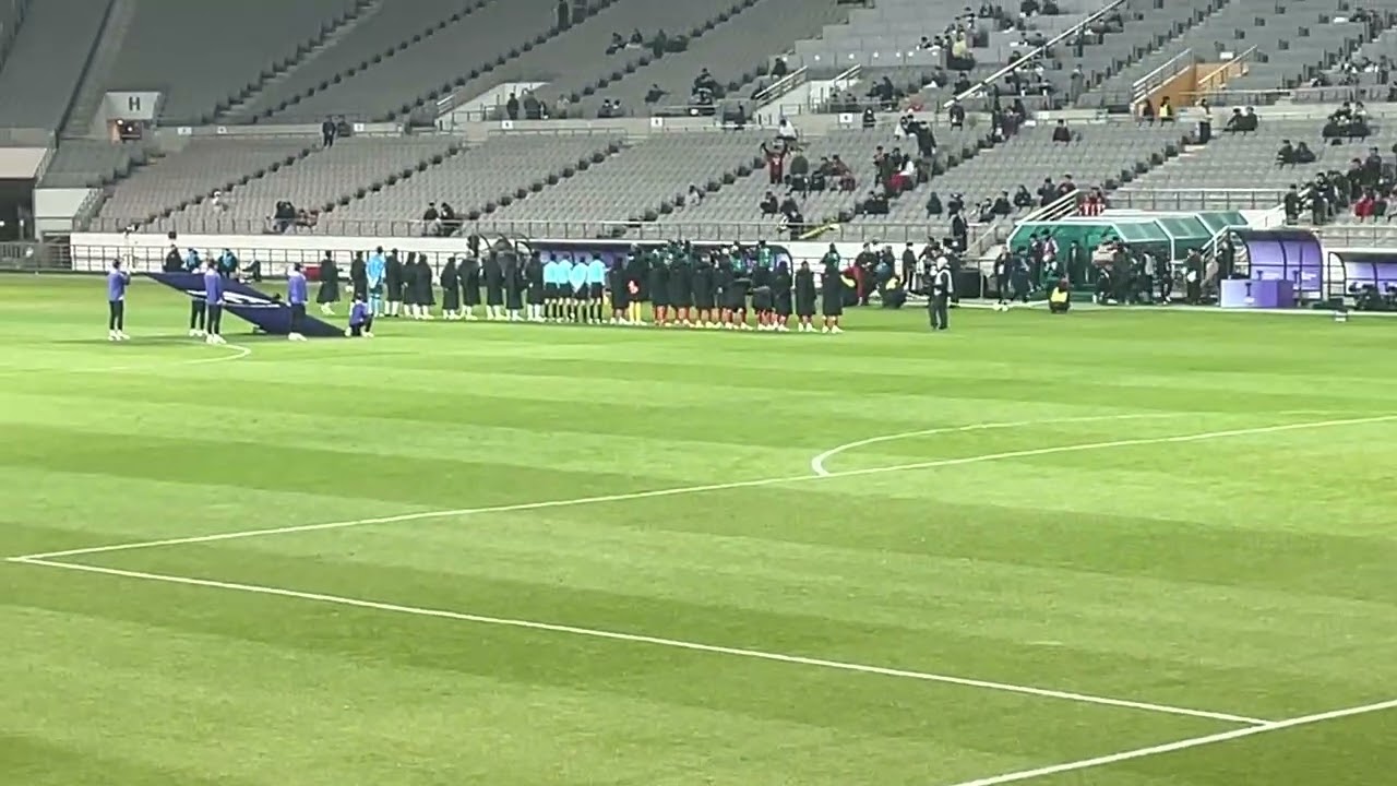 FC서울 진군가 및 성수입장 #fc서울열정팬tv 