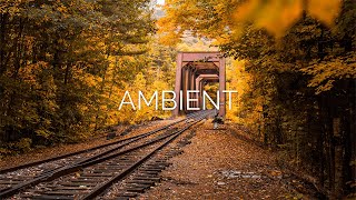 Gold Autumn View | Beautiful Ambient/Calm Mix.