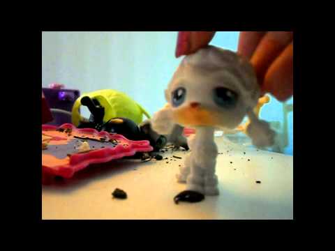 Littlest Pet Shop: Orion Part One (Boy Meets Robot)