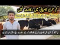 Warriach  Dairy Farm | Dairy Farming in Pakistan |  کم عمری میں کامیاب ڈیری فارمنگ کرنے والا نوجوان