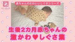 ベビーカレンダー公式