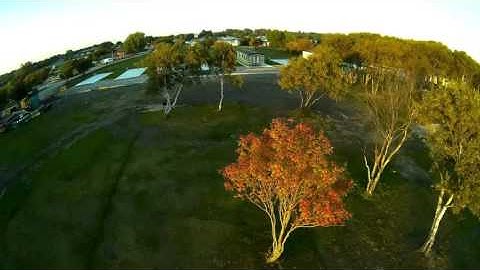 S250 fpv trees + Blade 350