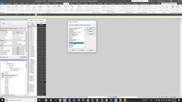 Revit Duplicate Project Parameters