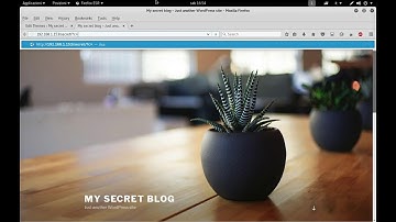 Vulnhub Basic Pentesting  Proftpd 1.3.3c backdoor - Wordpress hacking - Metasploit Shell