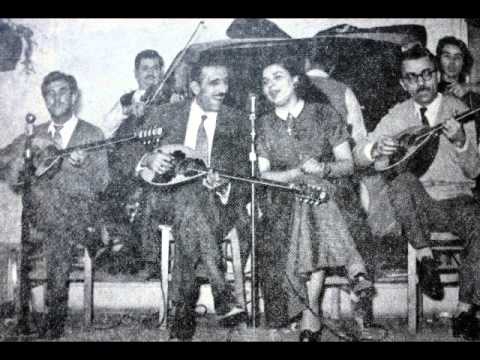 Πληγωμένο χελιδόνι - Ντάλια,Καλλέργης
