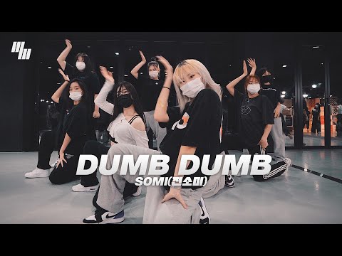 SOMI전소미 - <strong>DUMB</strong> <strong>DUMB</strong>  <strong>Dance</strong> | <strong>Dance</strong> Cover | Girls K-pop | LJ <strong>DANCE</strong> STUDIO 분당댄스학원 엘제이댄스 안무 춤