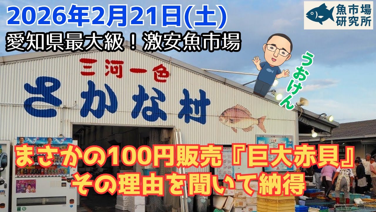 【嘘でしょ？】巨大赤貝が100円！？『一色さかな村』理由を聞いて納得？